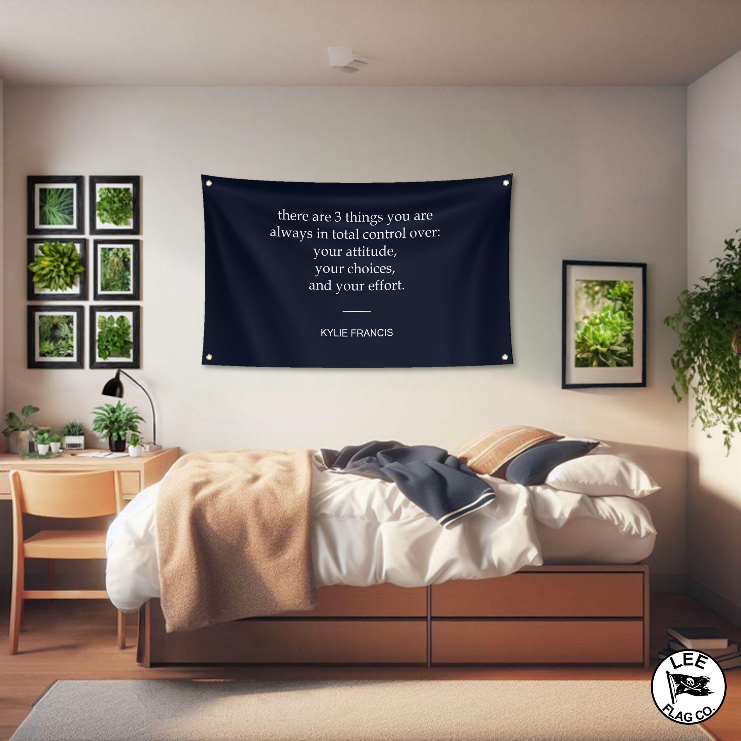 Attitude Choices Effort Flag