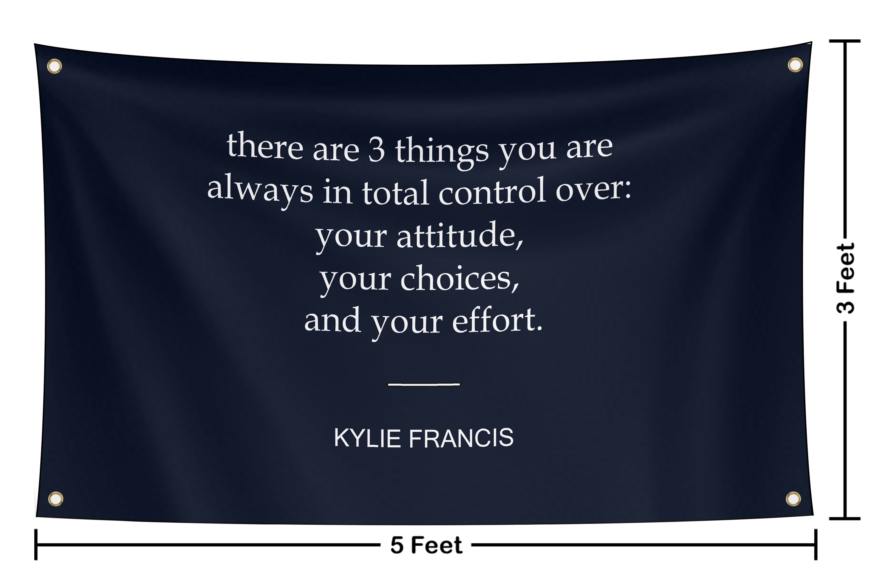 Attitude Choices Effort Flag